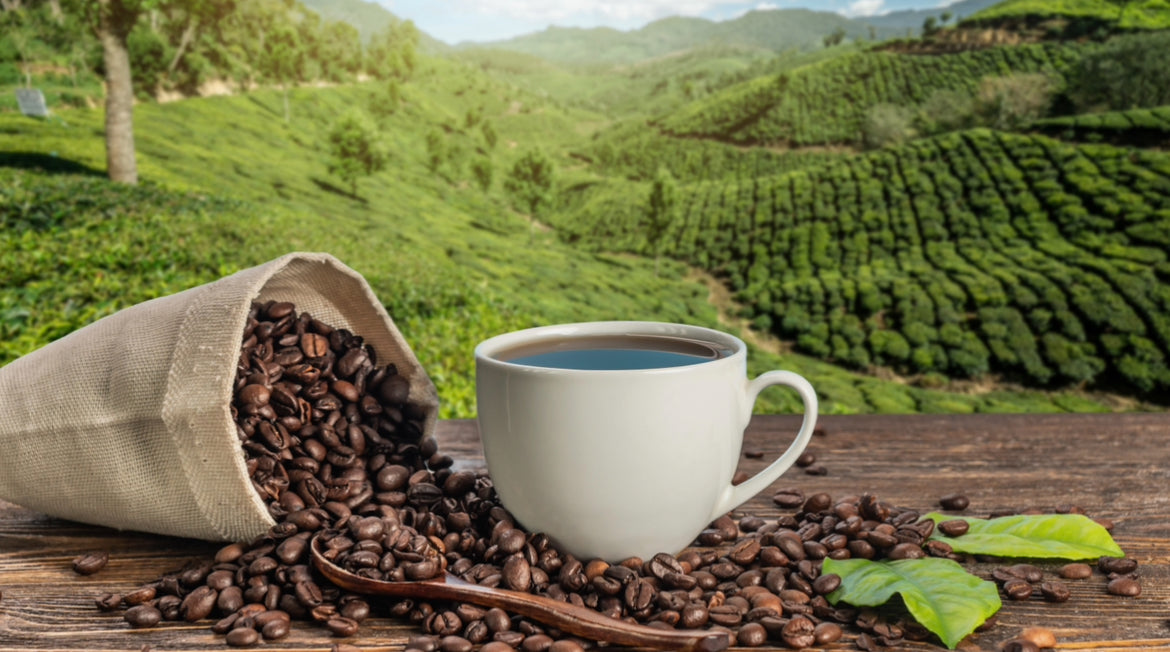 Acidity in Coffee: The Zest Behind The Bean