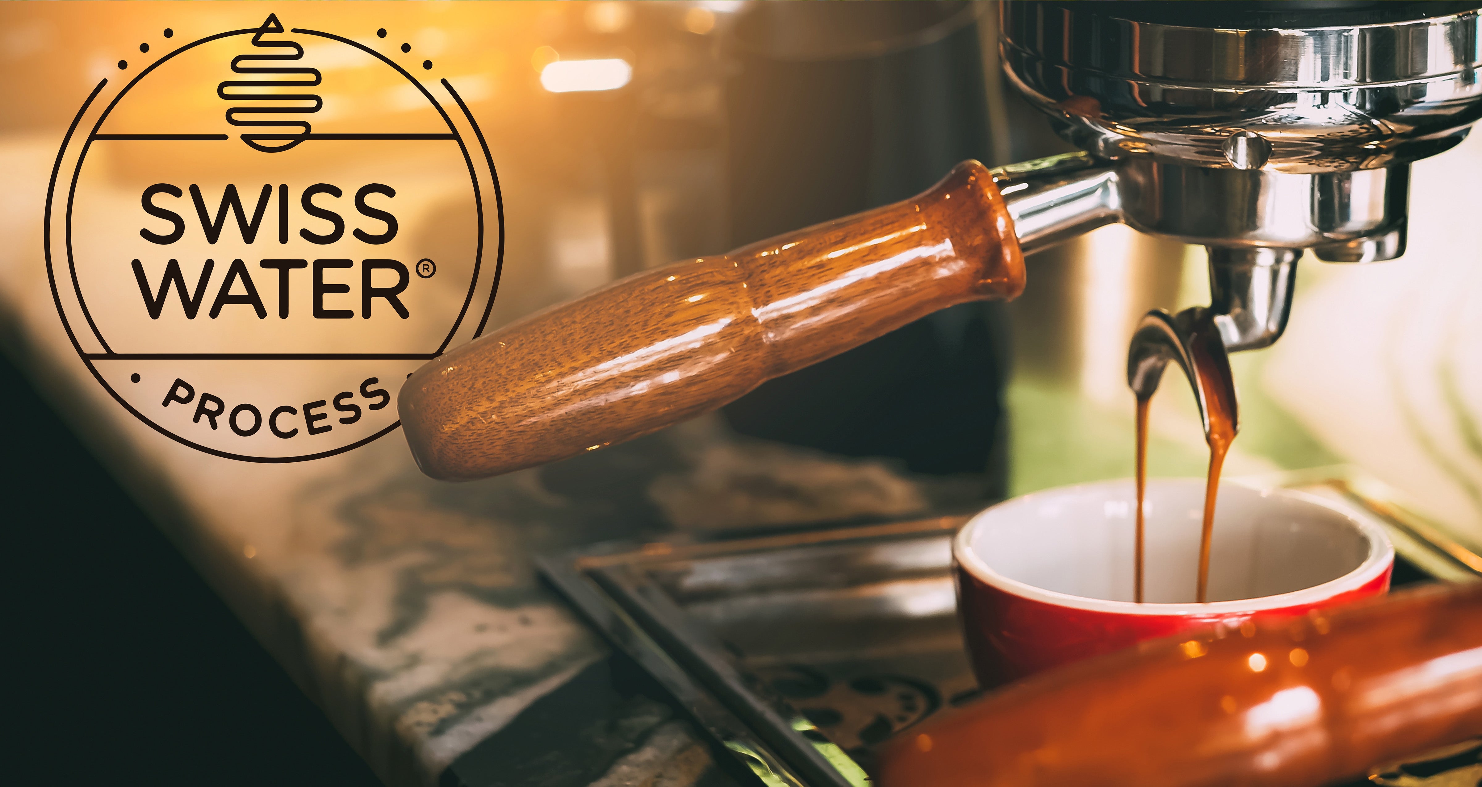 SWISS WATER DECAF PROCESS: what it is and why you should care